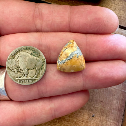 Trillion Cut Maligano Jasper Cabochon
