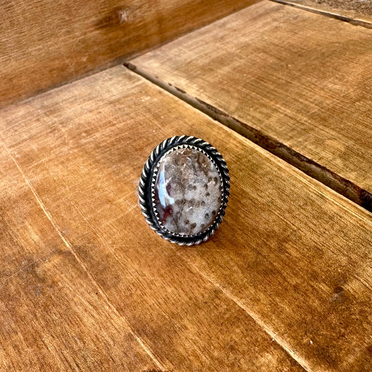 Petrified Palm Wood Ring